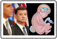 Shinseki Spina Bifida