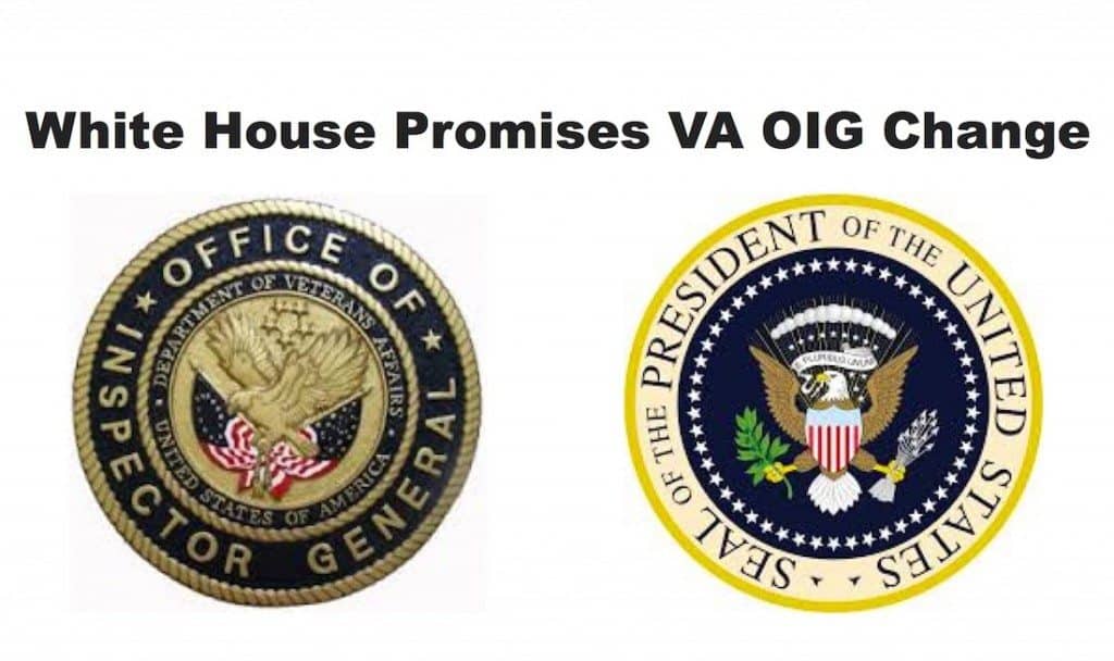 VA OIG Head