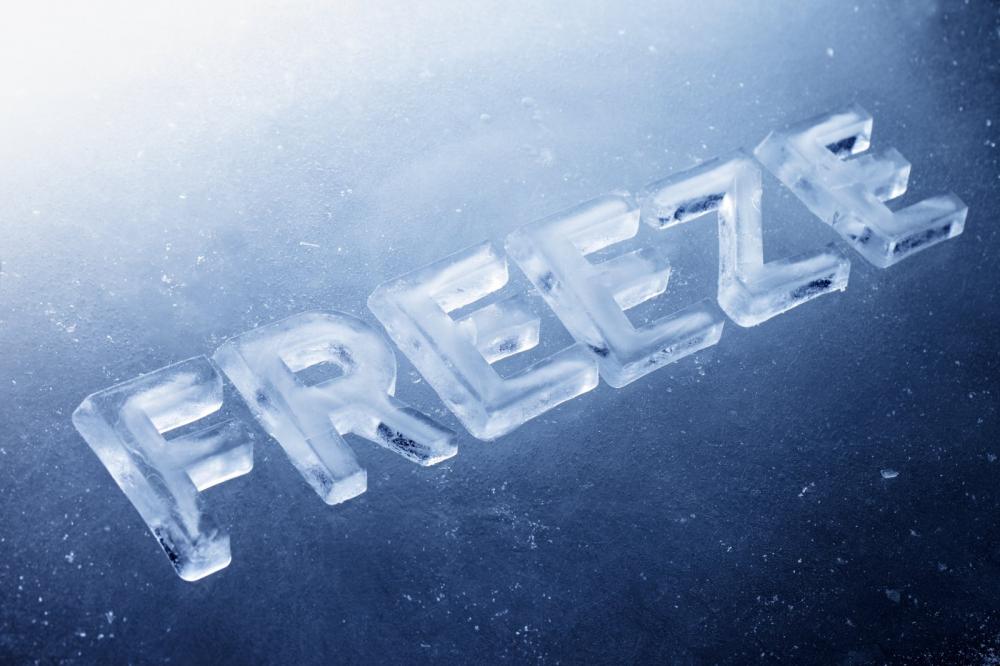 Trump Hiring Freeze