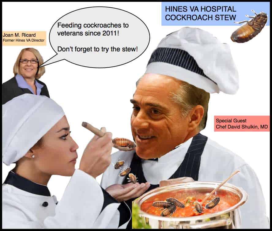 Hines VA Hospital Cockroaches