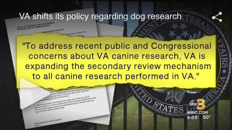 VA Secretary No Longer ‘Strong Believer In The Need For Canine Research’