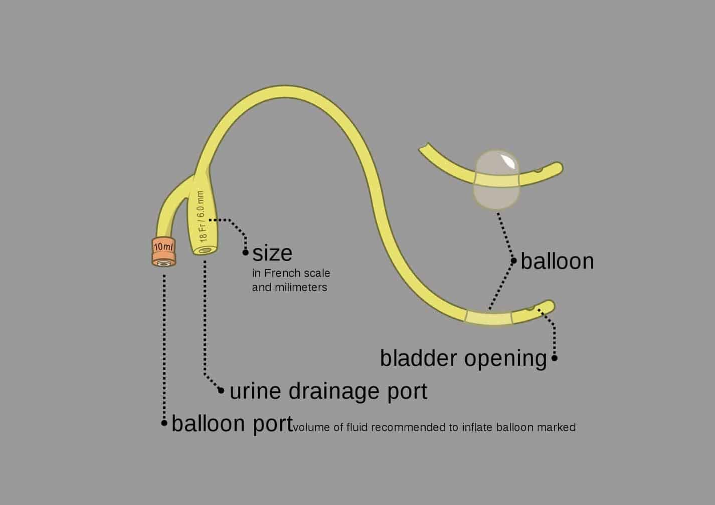 Foley Catheter Gilbert Harris Kansas City VA