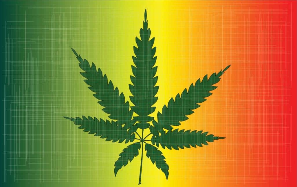 cannabis legislation