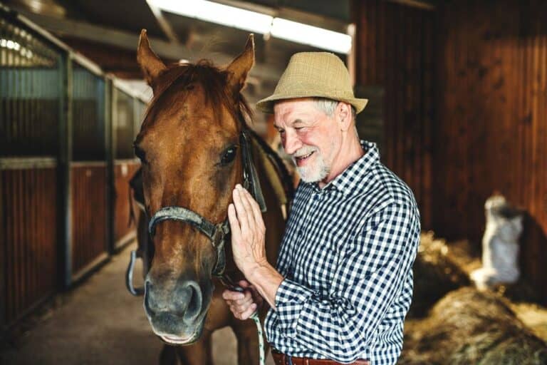 Healing Strides: Equine-Assisted Mental Health Program for Veterans