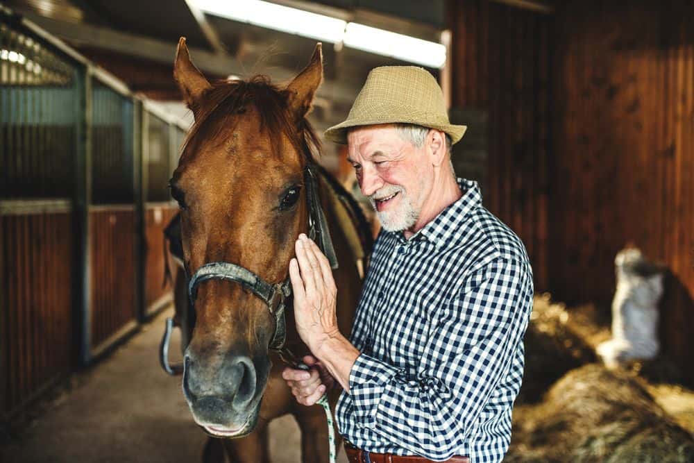 A senior man with a hat standing close to a horse in a stable, holding it.