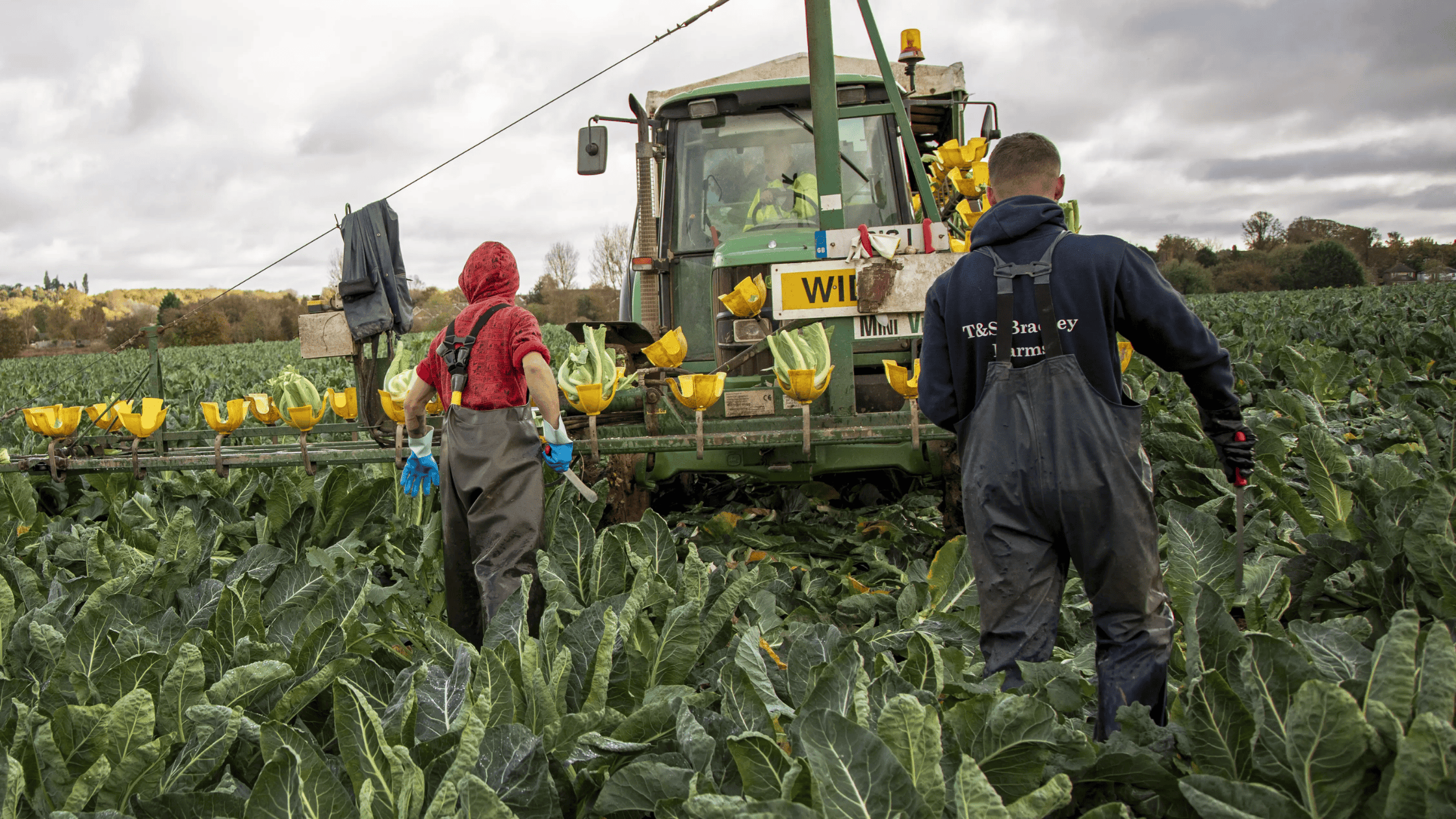 Healing in the Soil: How Farming Restores Purpose for Veterans